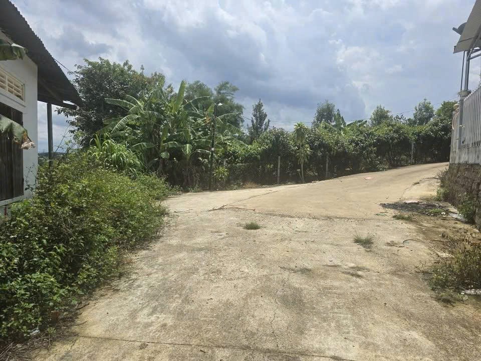Bán 3880m2 đất Ninh Gia Đức Trọng Lâm Đồng 3,9 tỷ 4