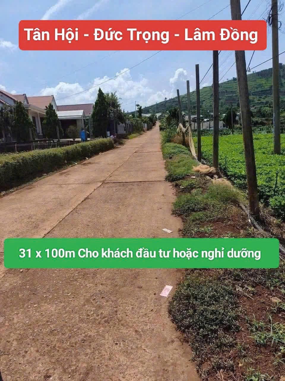 Bán 3120m2 đất xã Tân Hội Đức Trọng Lâm Đồng 4 tỷ 4