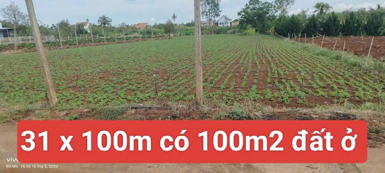 Bán 3120m2 đất xã Tân Hội Đức Trọng Lâm Đồng 4 tỷ 3