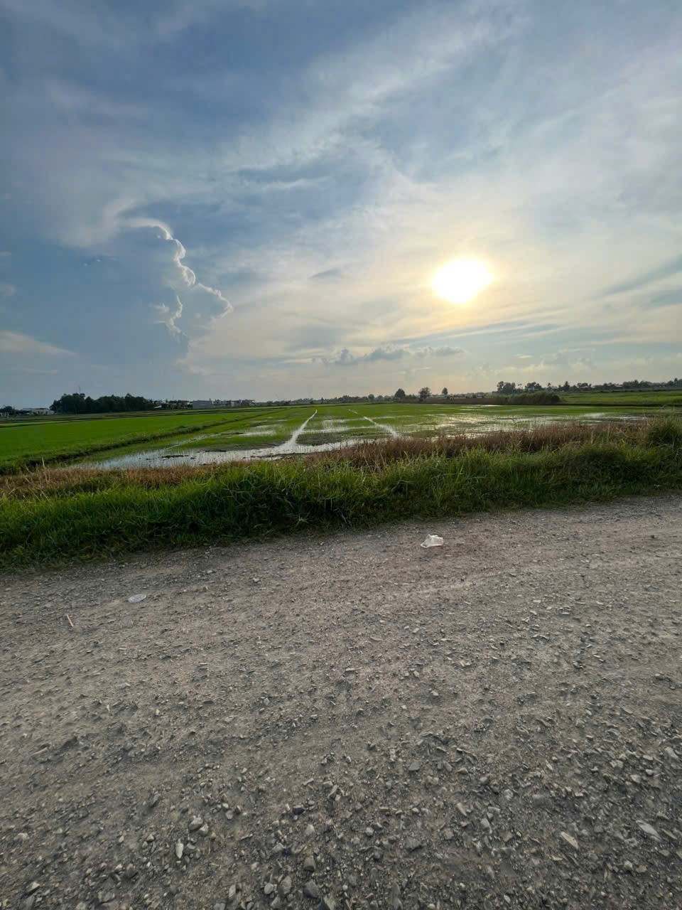 Bán đất hẻm đá xanh oto / Lục Viên, Đức Lập Hạ dt 2000m2 full thổ giá 8 tỷ