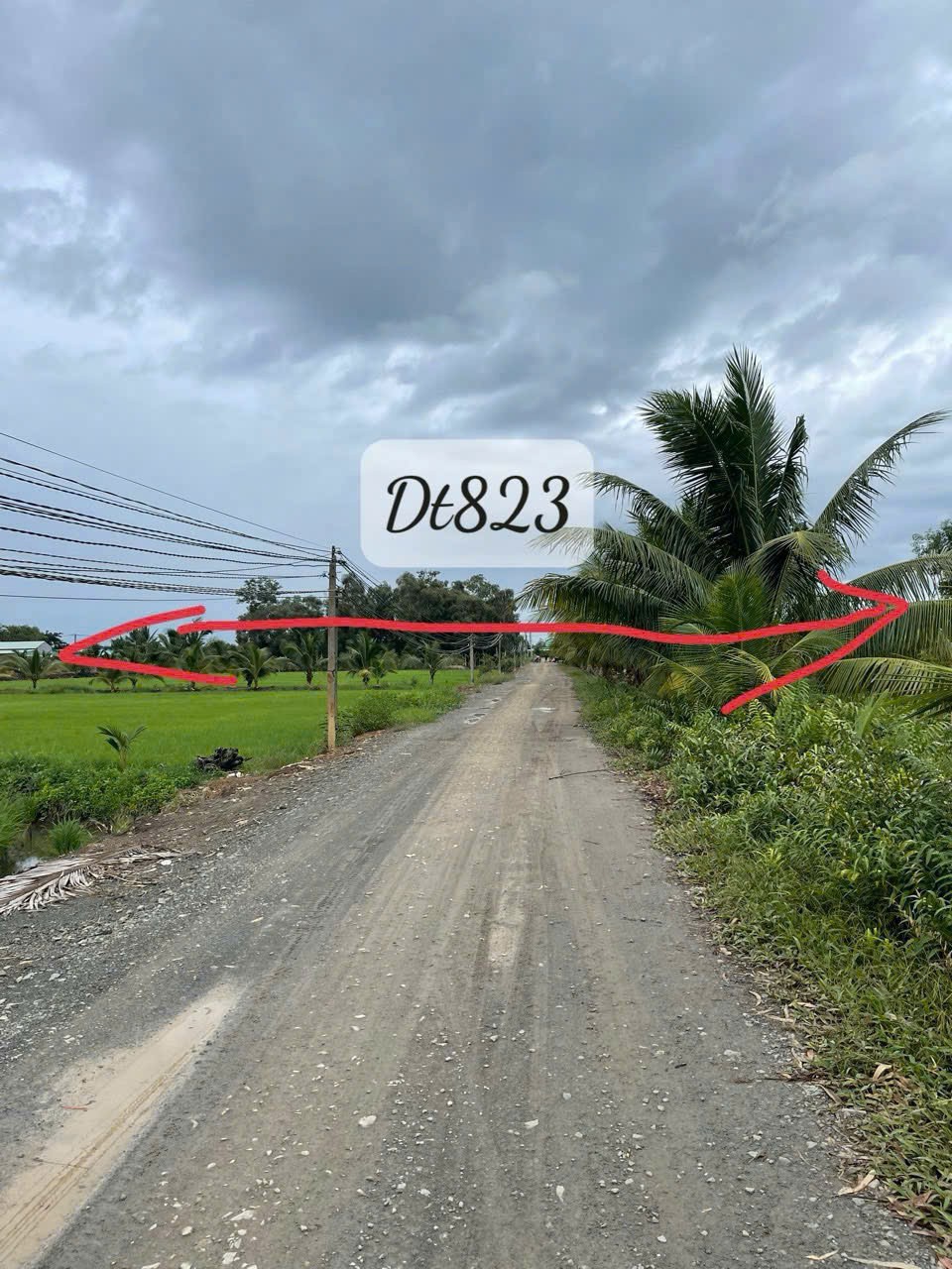 Bán đất lúa / ĐT 823 , xã Tân Phú, Đức Hòa , mặt tiền đường oto , view kênh dt 1264m2 giá 2,2 tỷ
