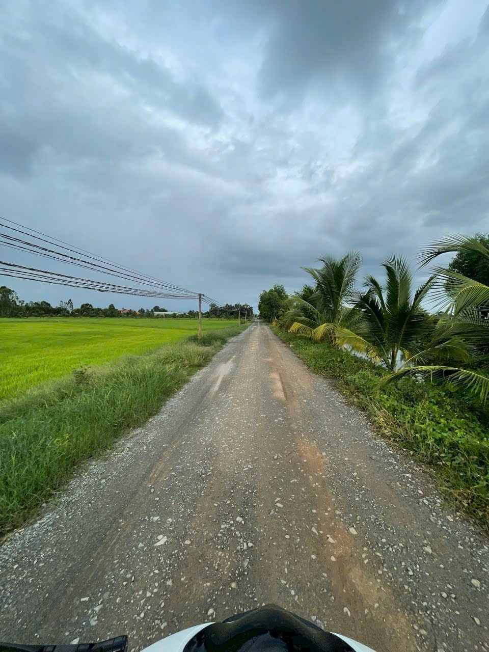 Bán đất lúa / ĐT 823 , xã Tân Phú, Đức Hòa , mặt tiền đường oto , view kênh dt 1264m2 giá 2,2 tỷ 2