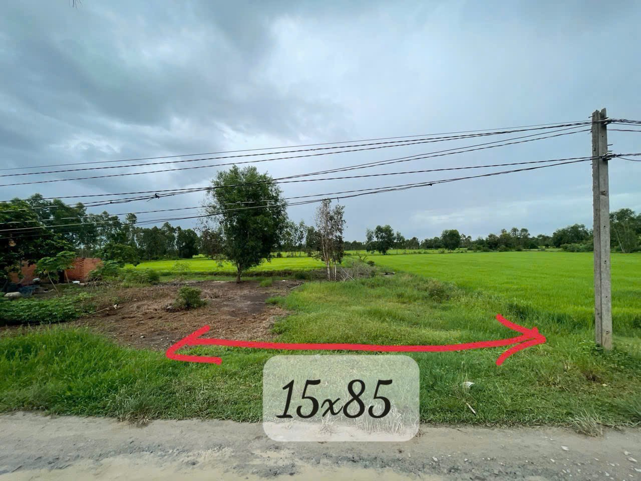Bán đất lúa / ĐT 823 , xã Tân Phú, Đức Hòa , mặt tiền đường oto , view kênh dt 1264m2 giá 2,2 tỷ 3