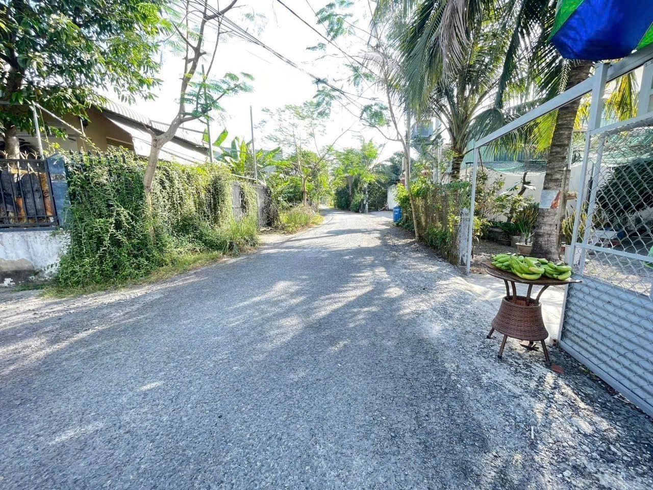 Bán đất góc 2 mặt tiền đường beton oto xã Bình Mỹ, Củ Chi dt 500m2 ( 100m2 thổ) giá 4,5 tỷ 2