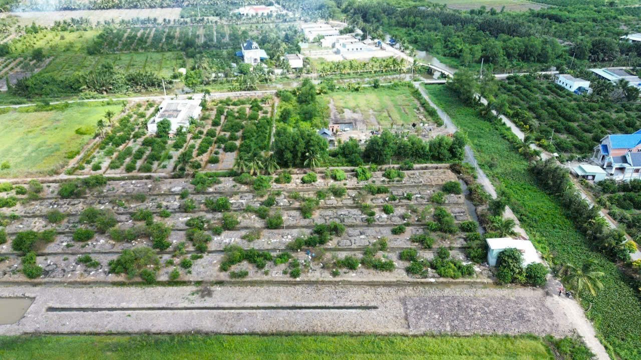 Bán đất đường oto đá xanh ấp 6, Bình Đức tdt 1545m2 ( 350m2 thổ ) giá 2,1 tỷ