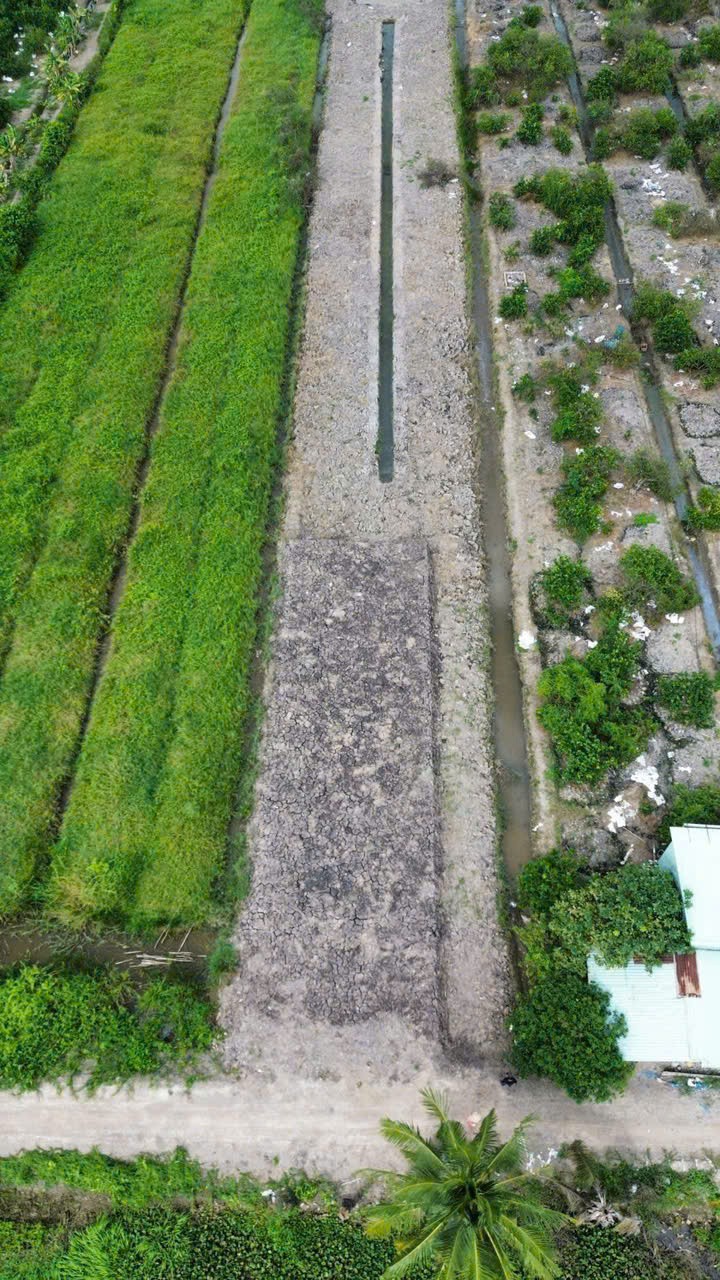 Bán đất đường oto đá xanh ấp 6, Bình Đức tdt 1545m2 ( 350m2 thổ ) giá 2,1 tỷ 4