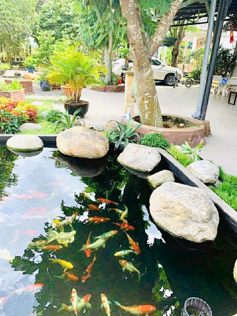 Bán biệt thự sân vườn nghỉ dưỡng xã Tân Thông Hội tdt 2000m2 ( 300m2 thổ) 3pn, 2wc giá 16 tỷ 6