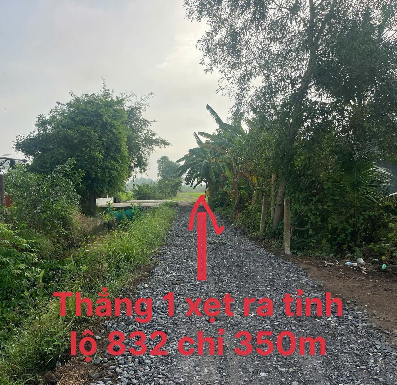 Bán 3 lô thổ cư liền kề đường oto đá xanh view kênh , xã Tân Bình, Tân Trụ dt 135m2 giá 499 triệu/ 7