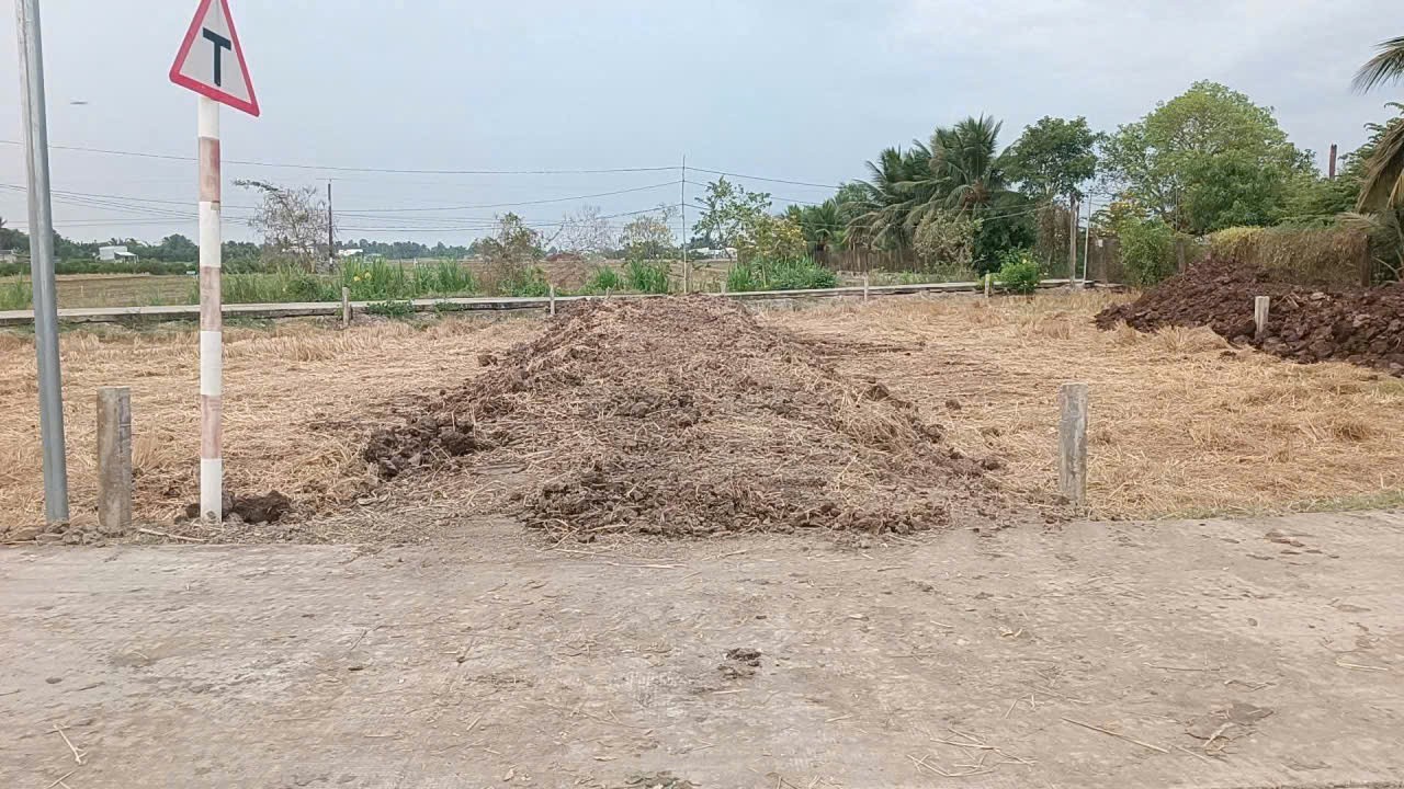 Bán đất 2 mặt tiền trước sau Huỳnh Văn Tung ,xã Bình Trinh Đông, Tân Trụ dt 131,3m2 full thổ giá 59 2