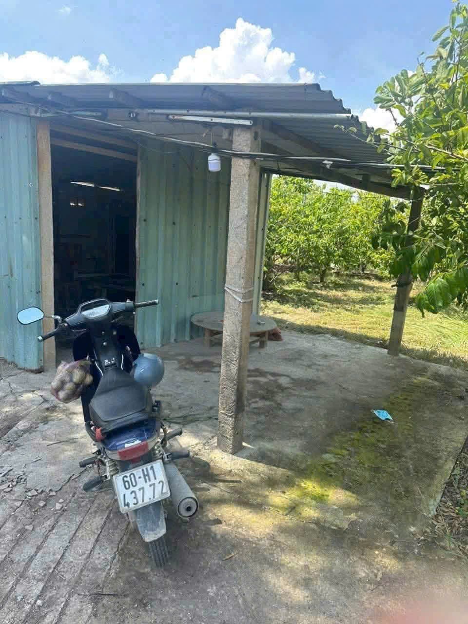 Bán đất vườn 2 mt trước sau xã Tân Thành , Thủ Thừa dt 1800m2 tặng nhà cấp 4 giá 1,2 tỷ 2