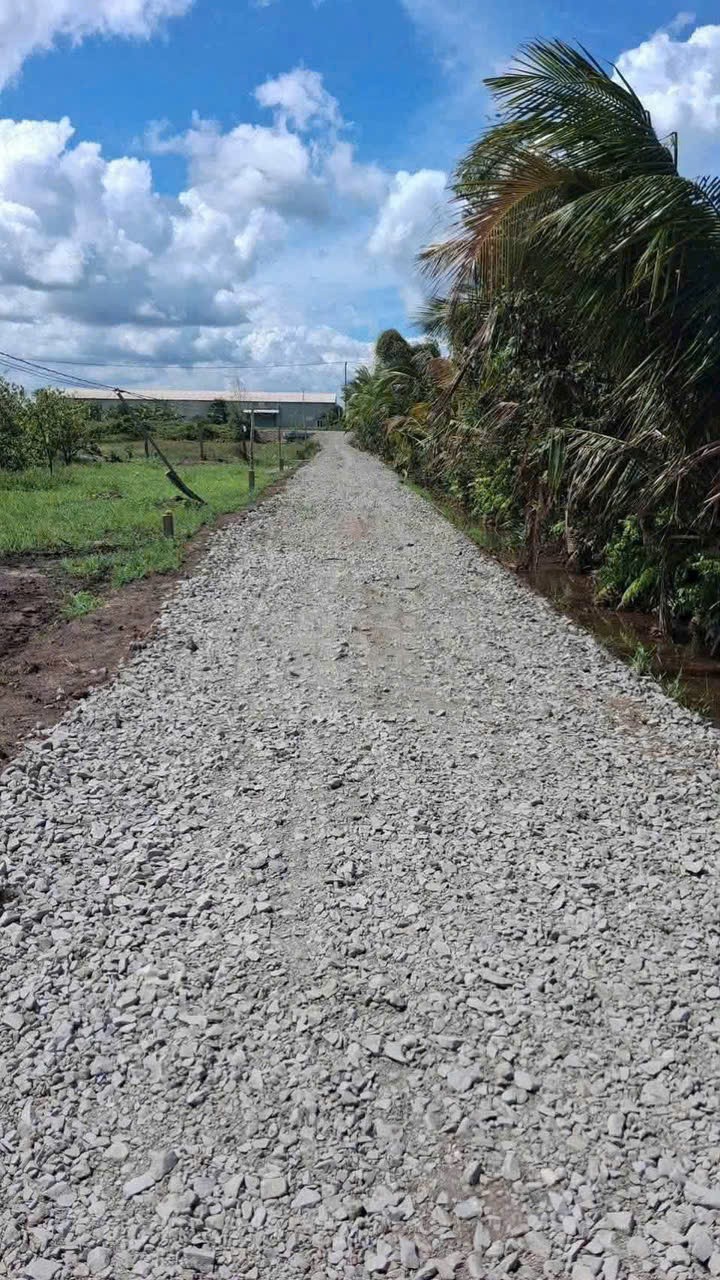 Bán đất vườn 2 mt trước sau xã Tân Thành , Thủ Thừa dt 1800m2 tặng nhà cấp 4 giá 1,2 tỷ 6