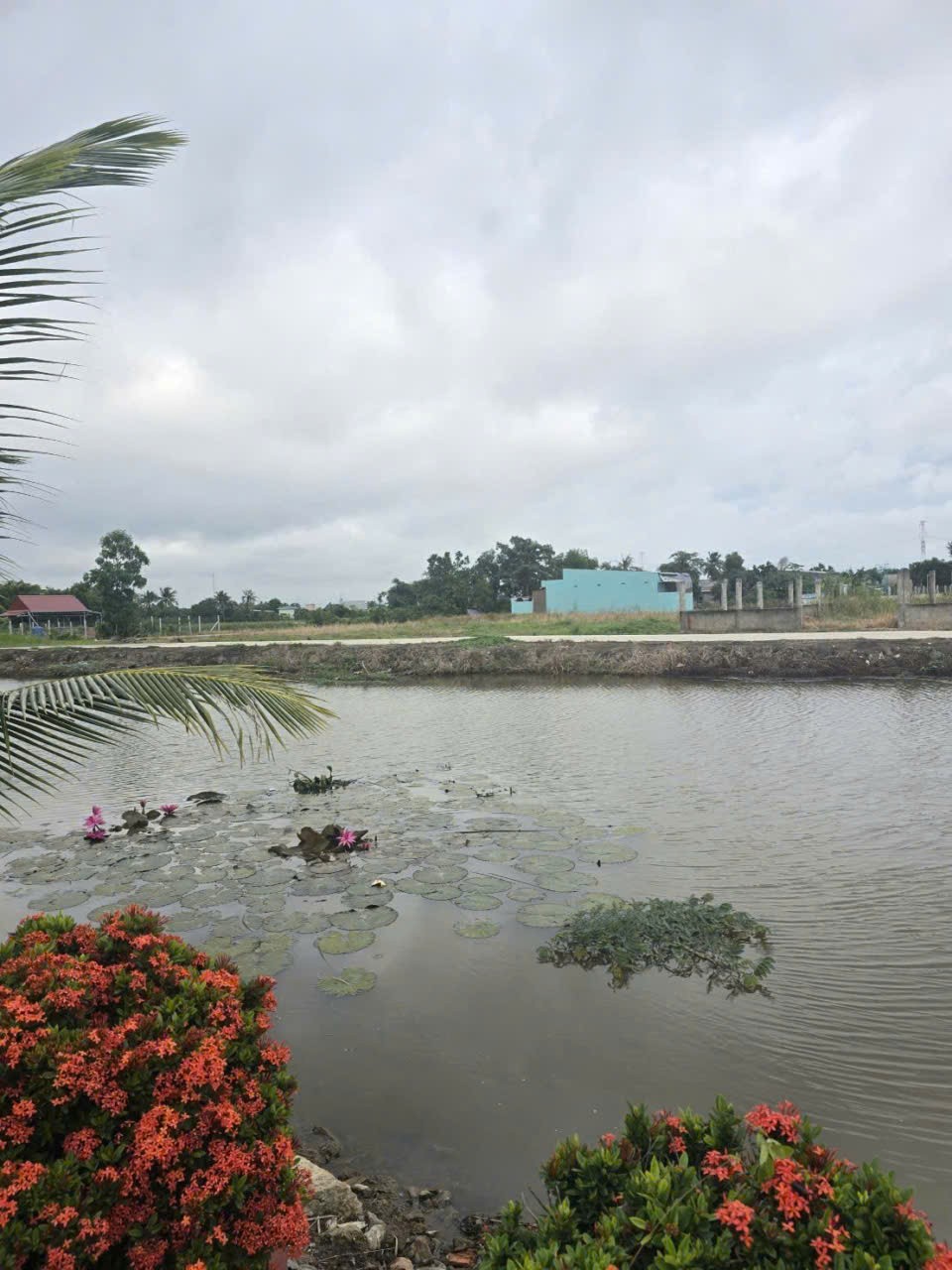 Bán nhà đẹp view sông mới xây , đường oto beton dt 156m2 , 1 lầu ,3pn, 3wc giá 3,3 tỷ 3
