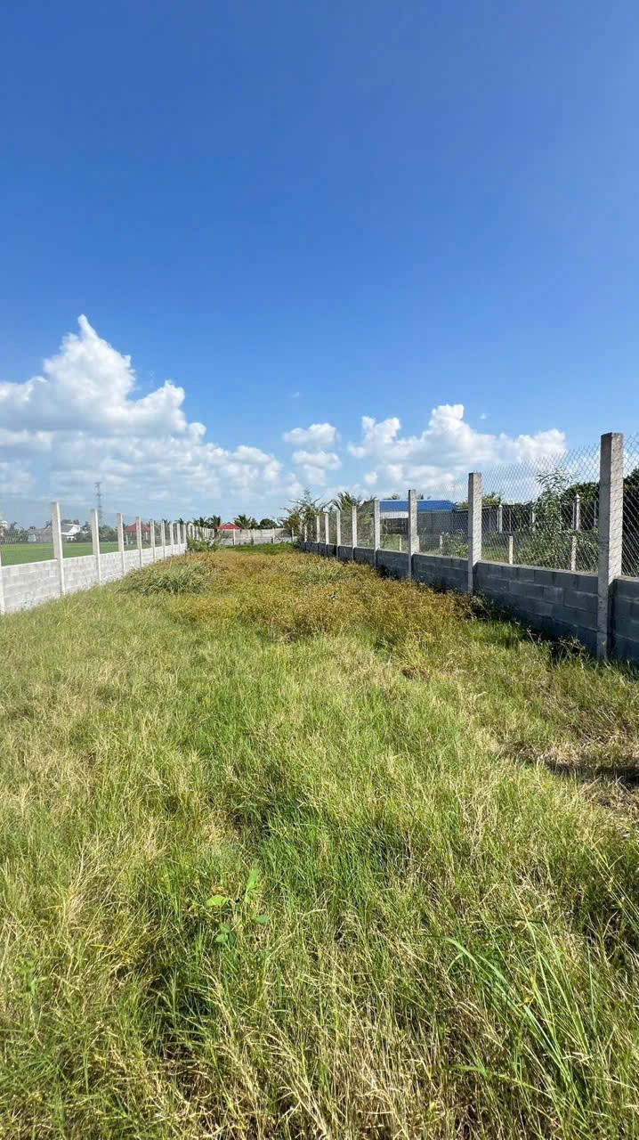 Bán đất xây nhà vườn đường oto beton xã Thạnh Đức dt 800m2 ( 200m2 thổ ) giá 2,2 tỷ 3