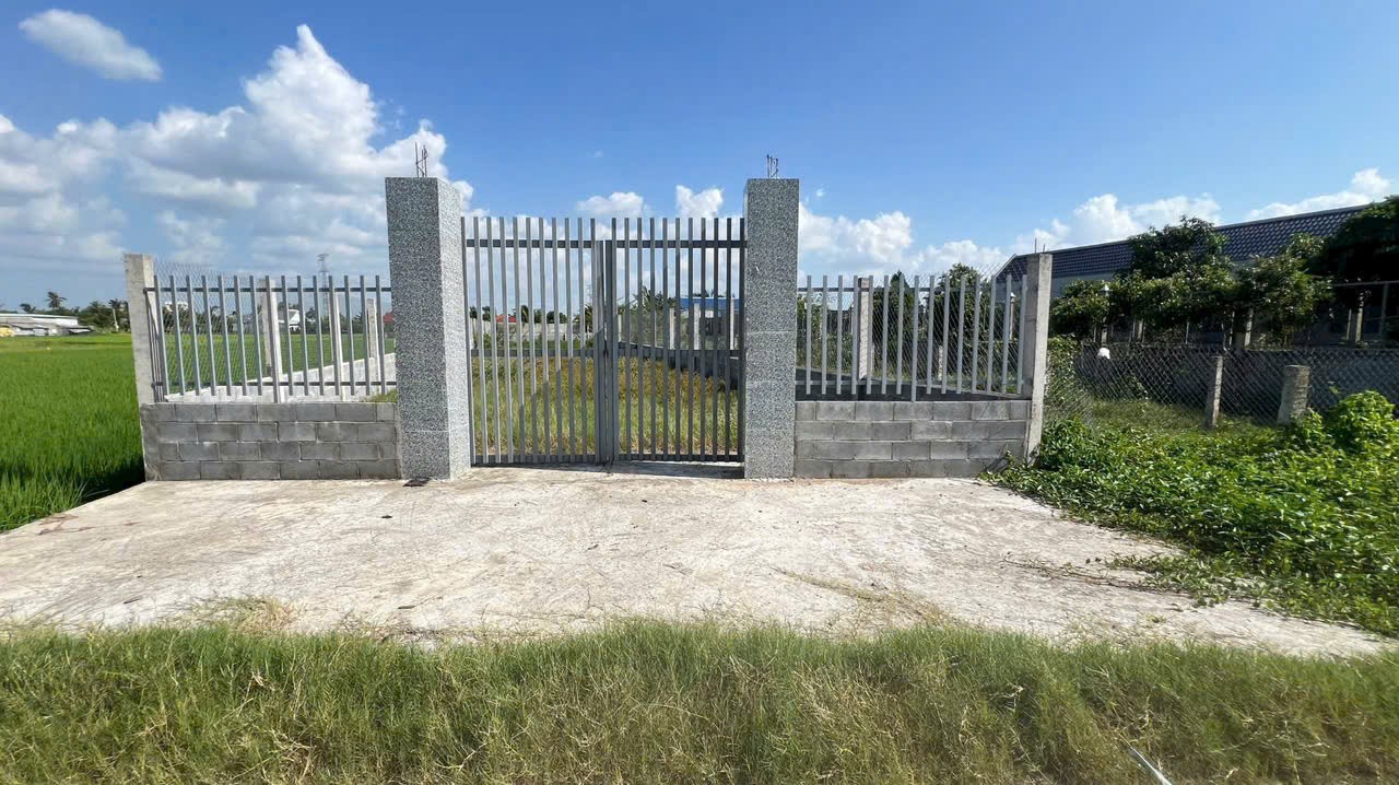 Bán đất xây nhà vườn đường oto beton xã Thạnh Đức dt 800m2 ( 200m2 thổ ) giá 2,2 tỷ 5