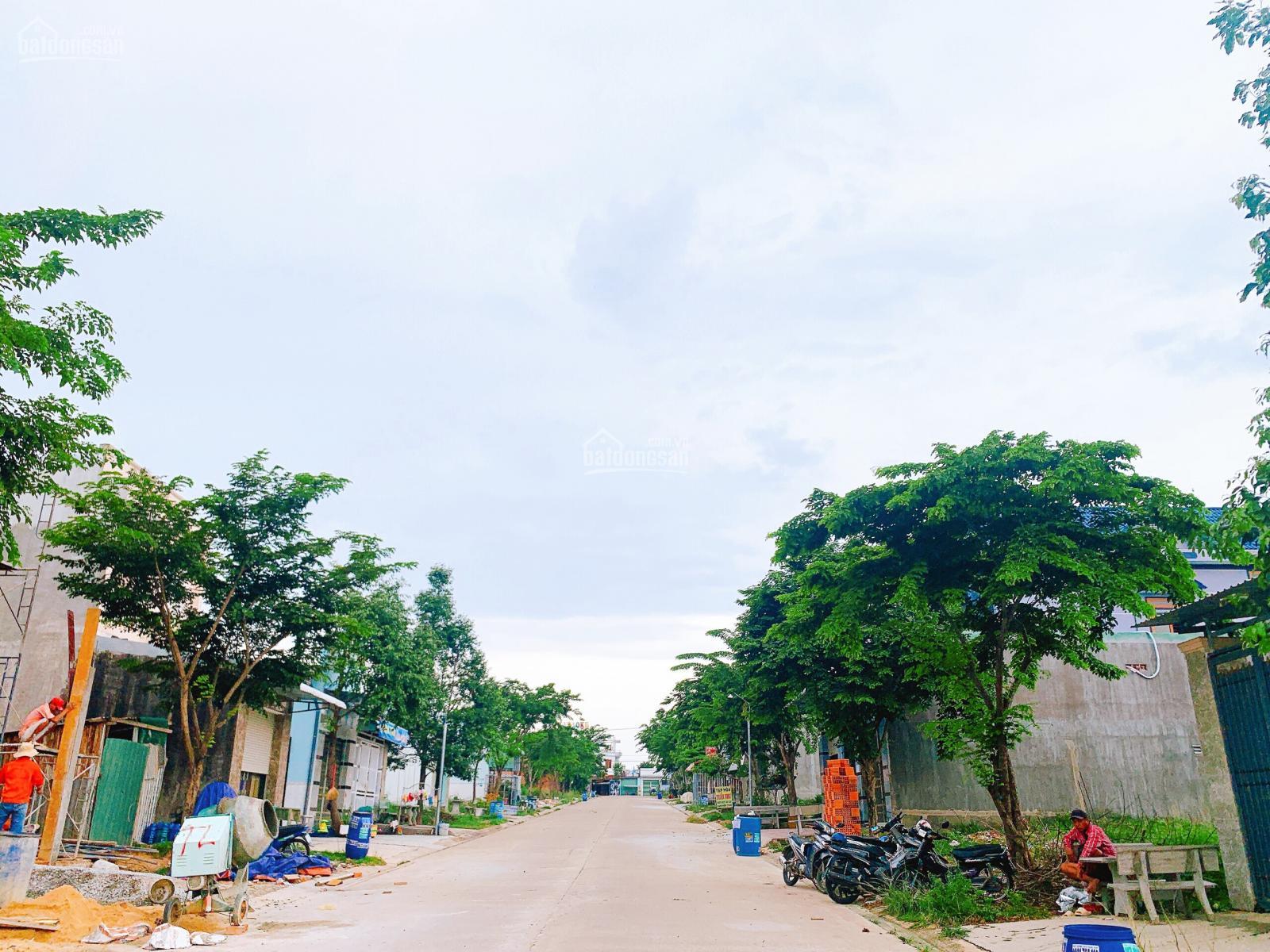 Cần bán Đất Xã Tân Định, Bến Cát, Diện tích 210m², Giá 810.000.000 Triệu 3
