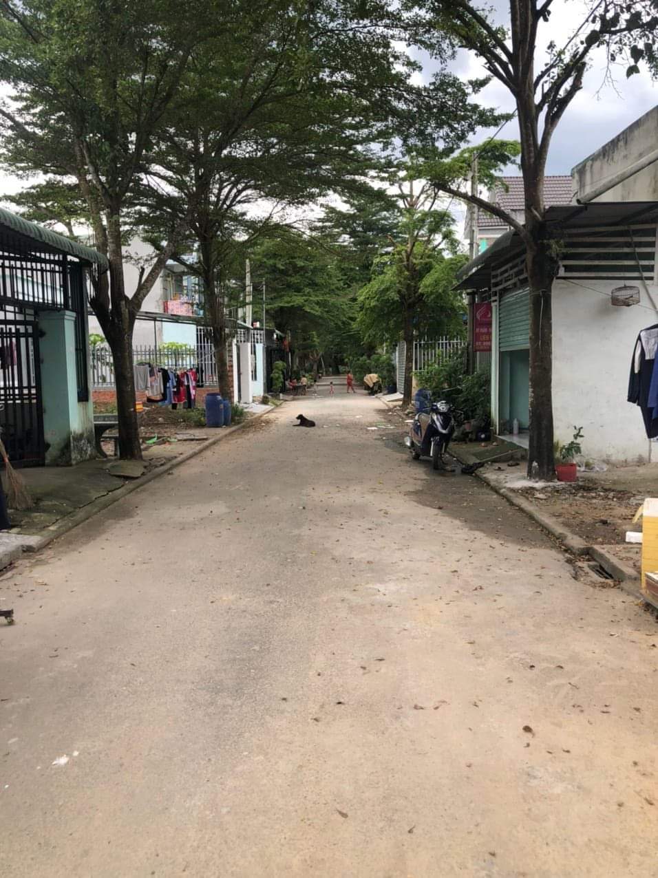 Cần bán Đất Xã Tân Định, Bến Cát, Diện tích 100m², Giá 850 Triệu 3