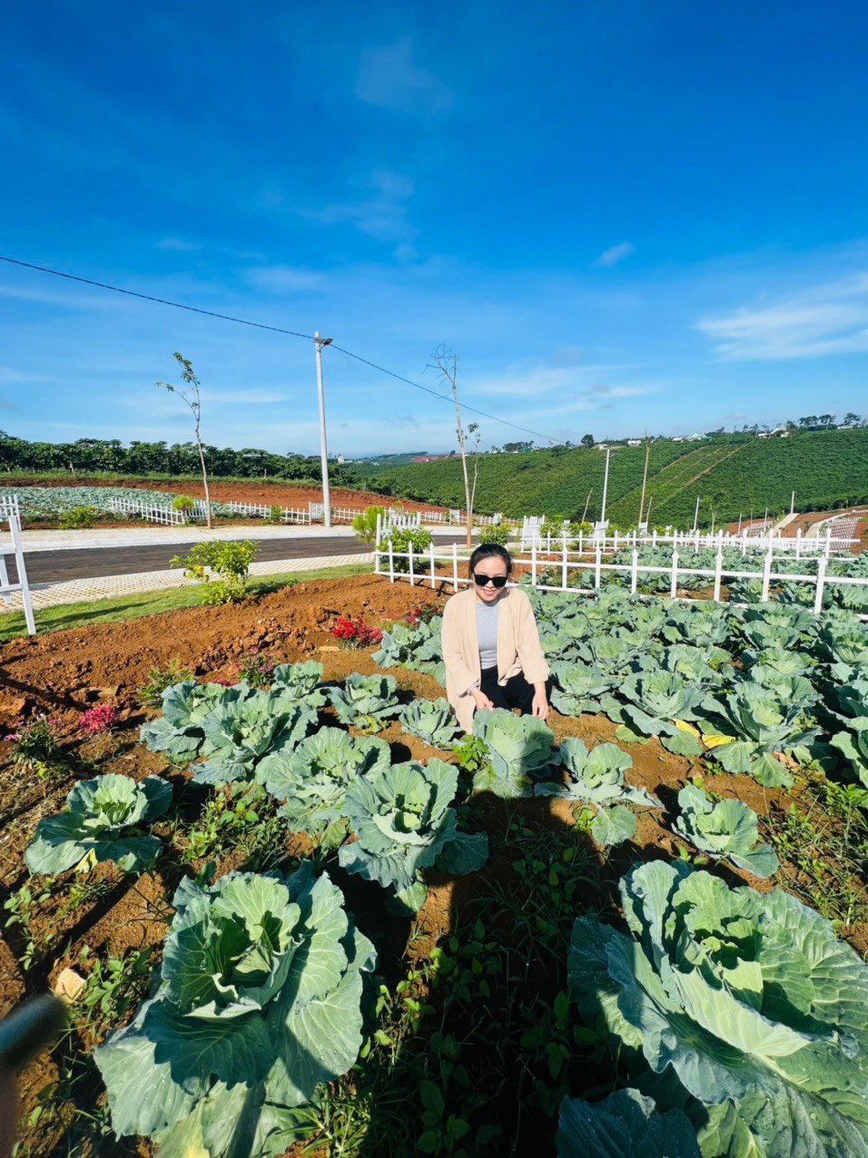 BĐS NGHỈ DƯỠNG BẢO LỘC -  - NẰM LIỀN KỀ KHU DU LỊCH 100HA ĐỒI TRÀ TÂM CHÂU - GIÁ 8TR/M2 2