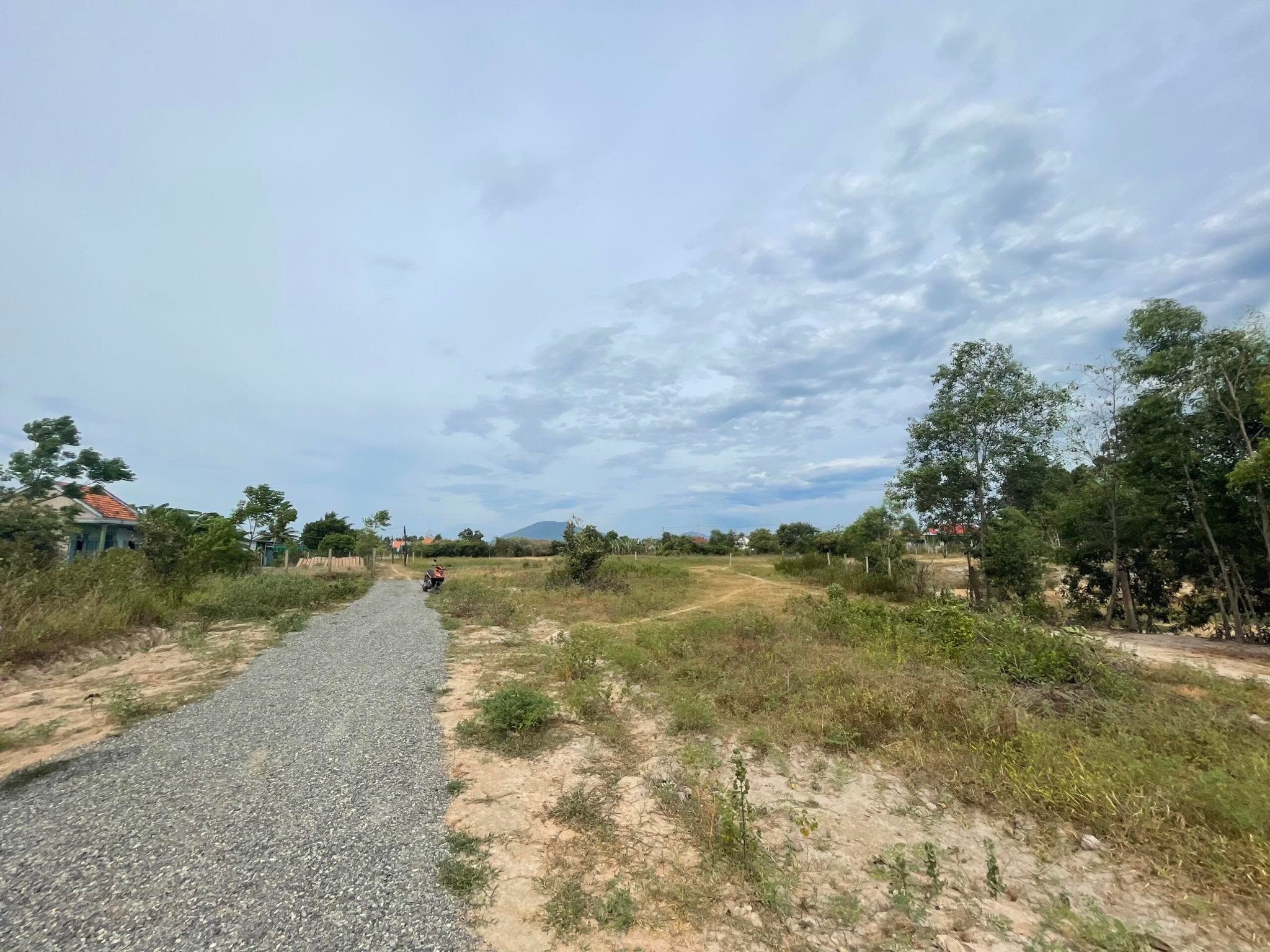 Cần bán Đất đường Quốc Lộ 26, Xã Ninh Xuân, Diện tích 1369m², Giá 3 Tỷ