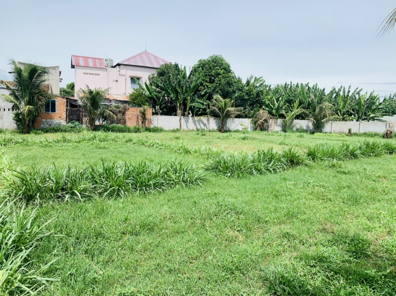 Cần bán Đất Xã Phước Thuận, Ninh Phước, Diện tích 1031m², Giá 1.6 Tỷ 2