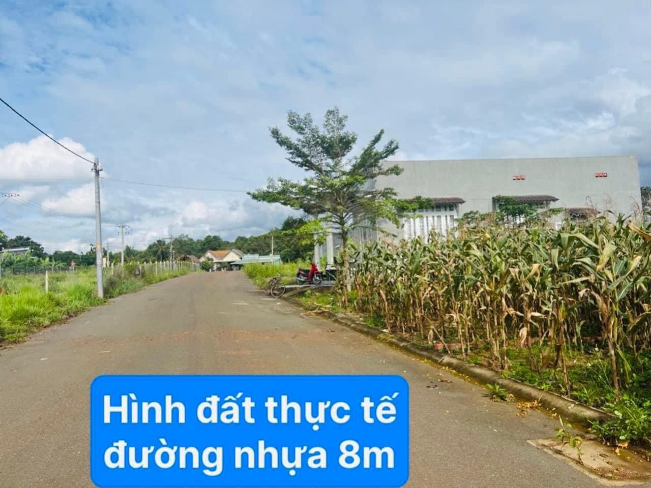 Đất mặt tiền đường nhựa 8m tại DT 769 ven sân bay Long Thành 6