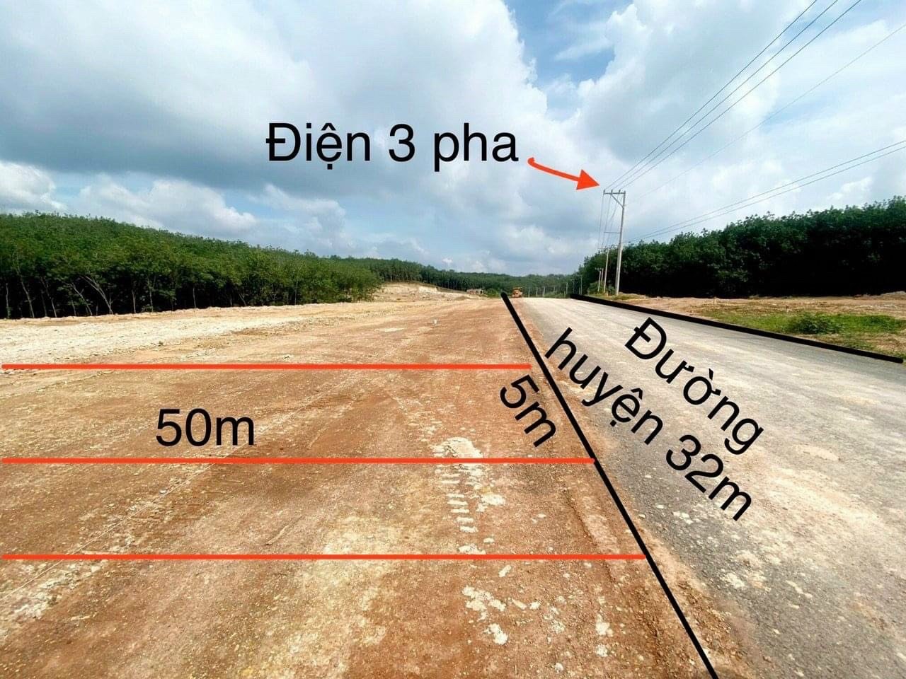 Cần bán Đất đường 14, Xã Thuận Lợi, Diện tích 250m², Giá Thương lượng 2