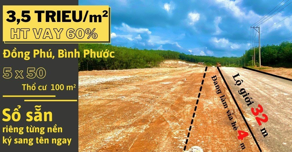 Cần bán Đất đường 14, Xã Thuận Lợi, Diện tích 250m², Giá Thương lượng 4