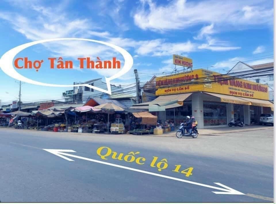 Cần bán Đất đường 14, Xã Thuận Lợi, Diện tích 250m², Giá Thương lượng 5
