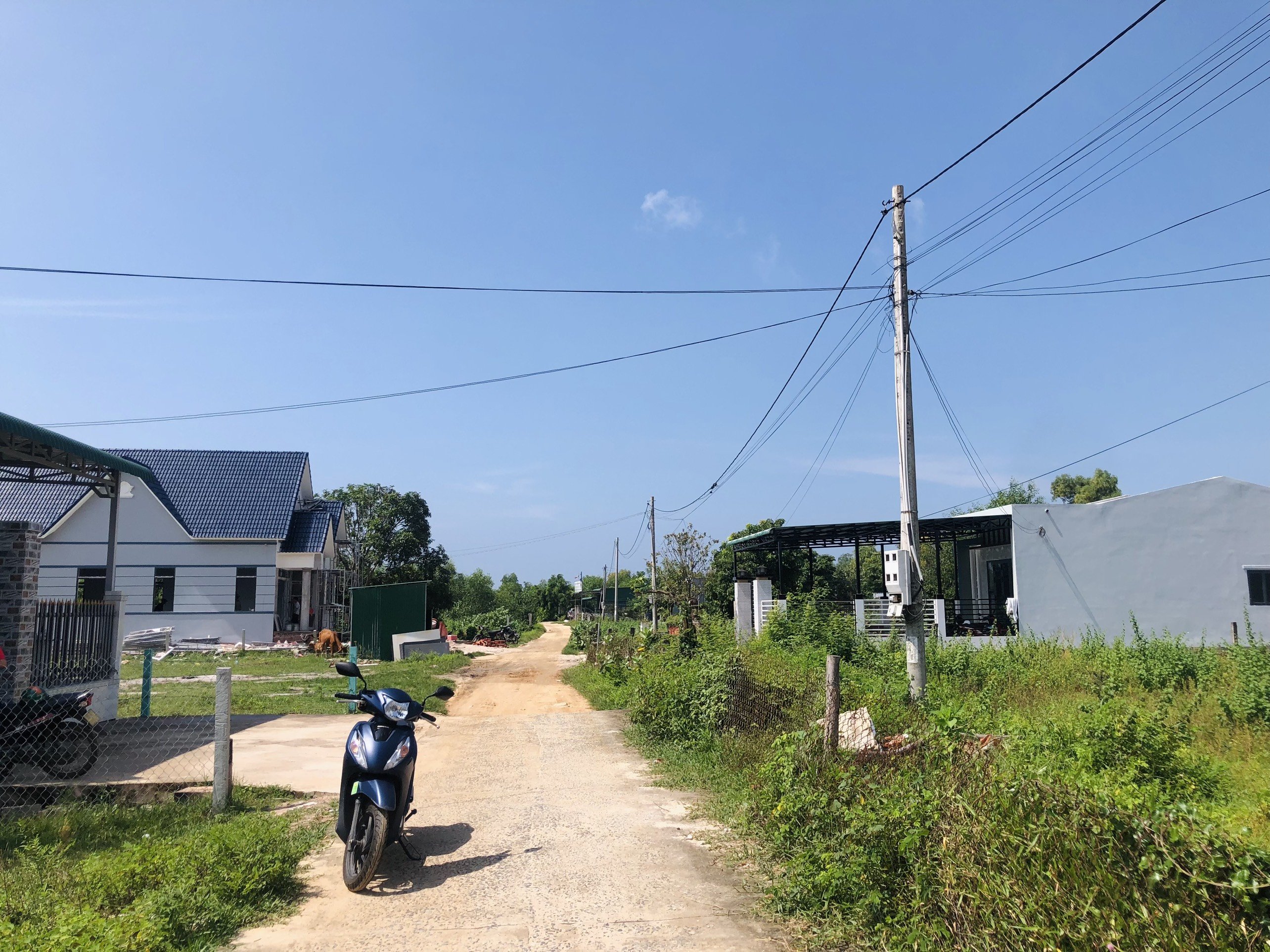 Cần bán Đất đường Lê Minh Công, Xã Tân Phước, Diện tích 562m², Giá 3.350 Tỷ 1