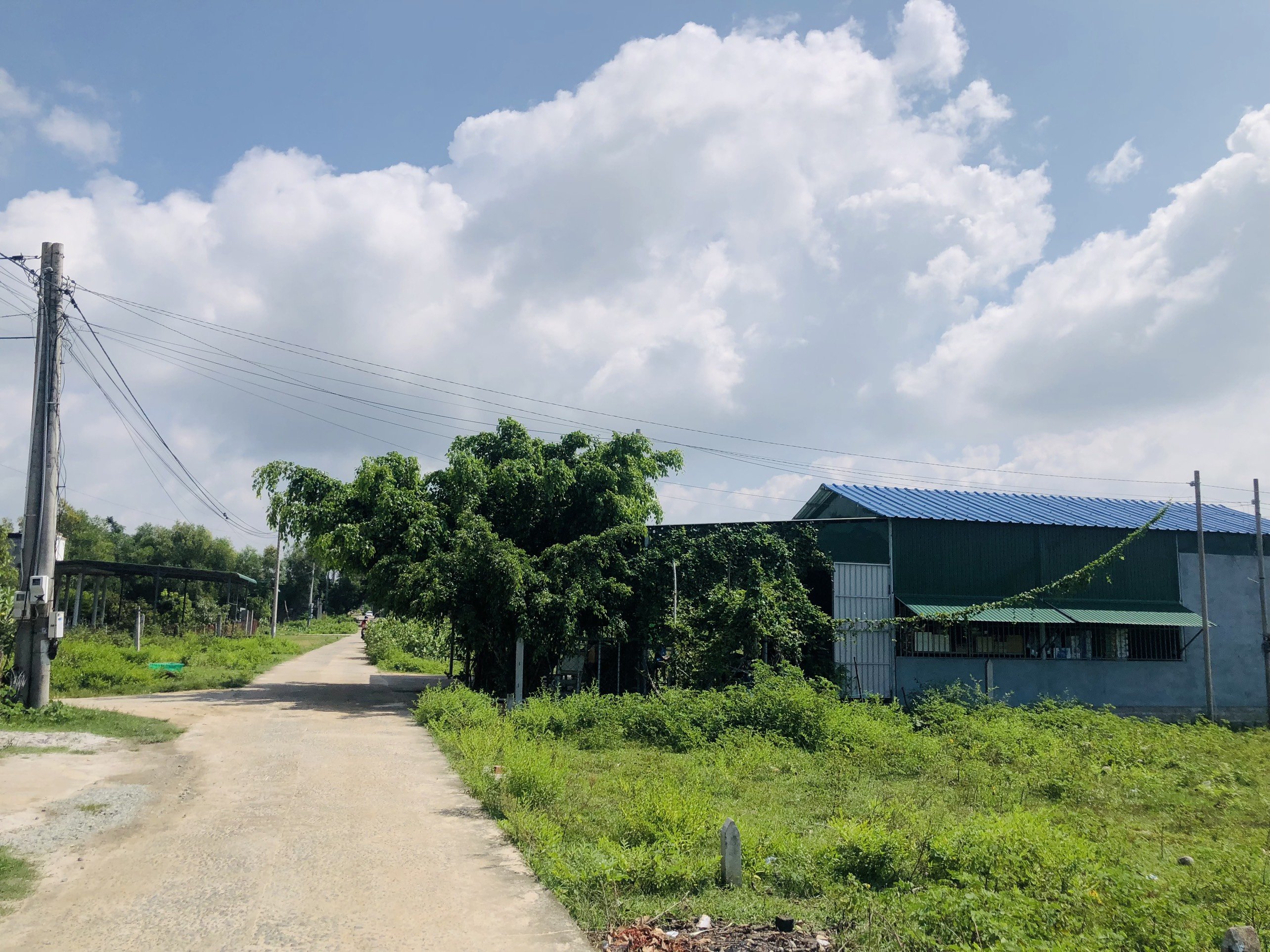 Cần bán Đất đường Lê Minh Công, Xã Tân Phước, Diện tích 562m², Giá 3.350 Tỷ 2