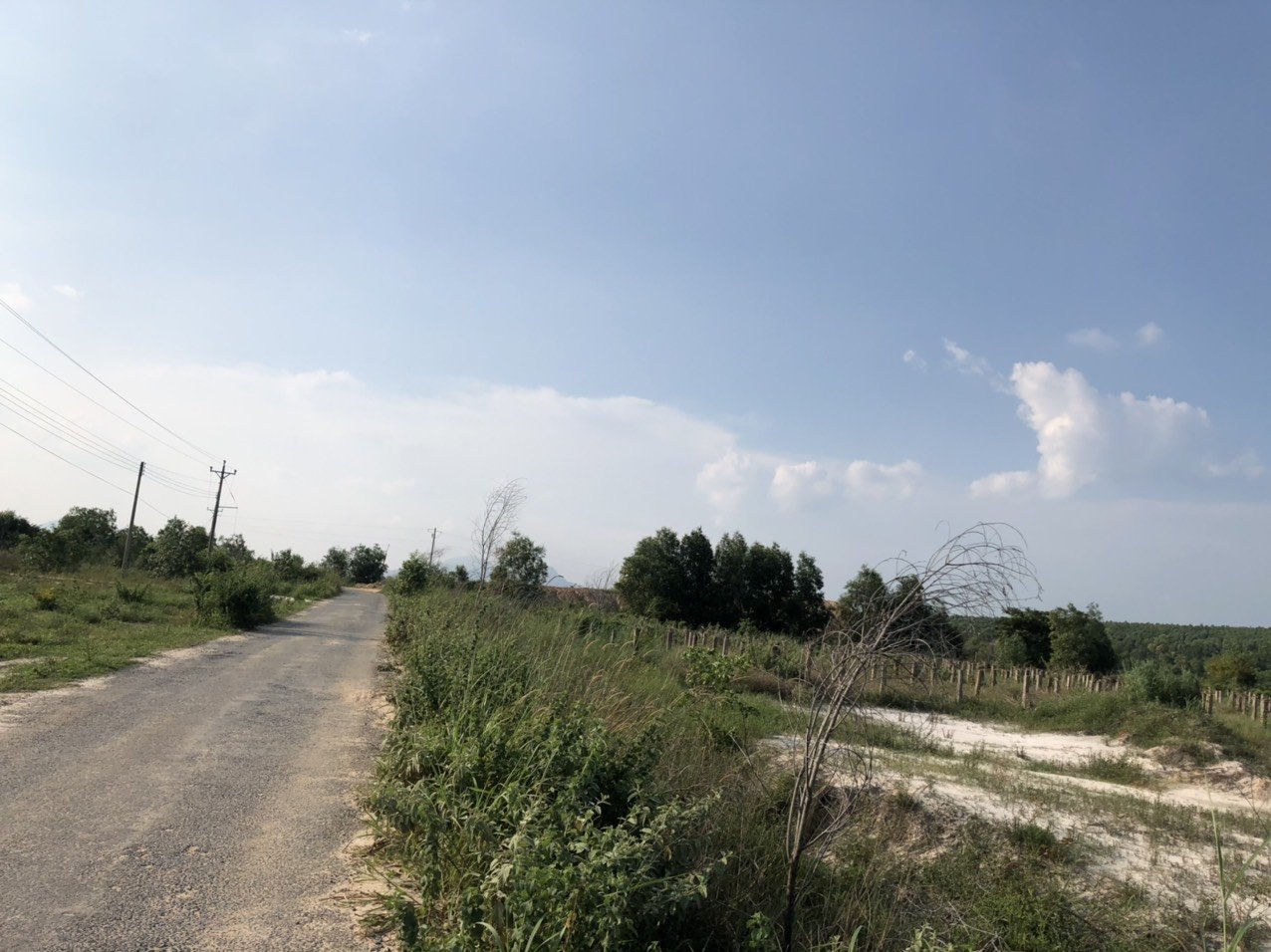 Cần bán Đất đường Nguyễn Chí Thanh, Xã Tân Bình, Diện tích 1100m², Giá 2.45 Tỷ 8