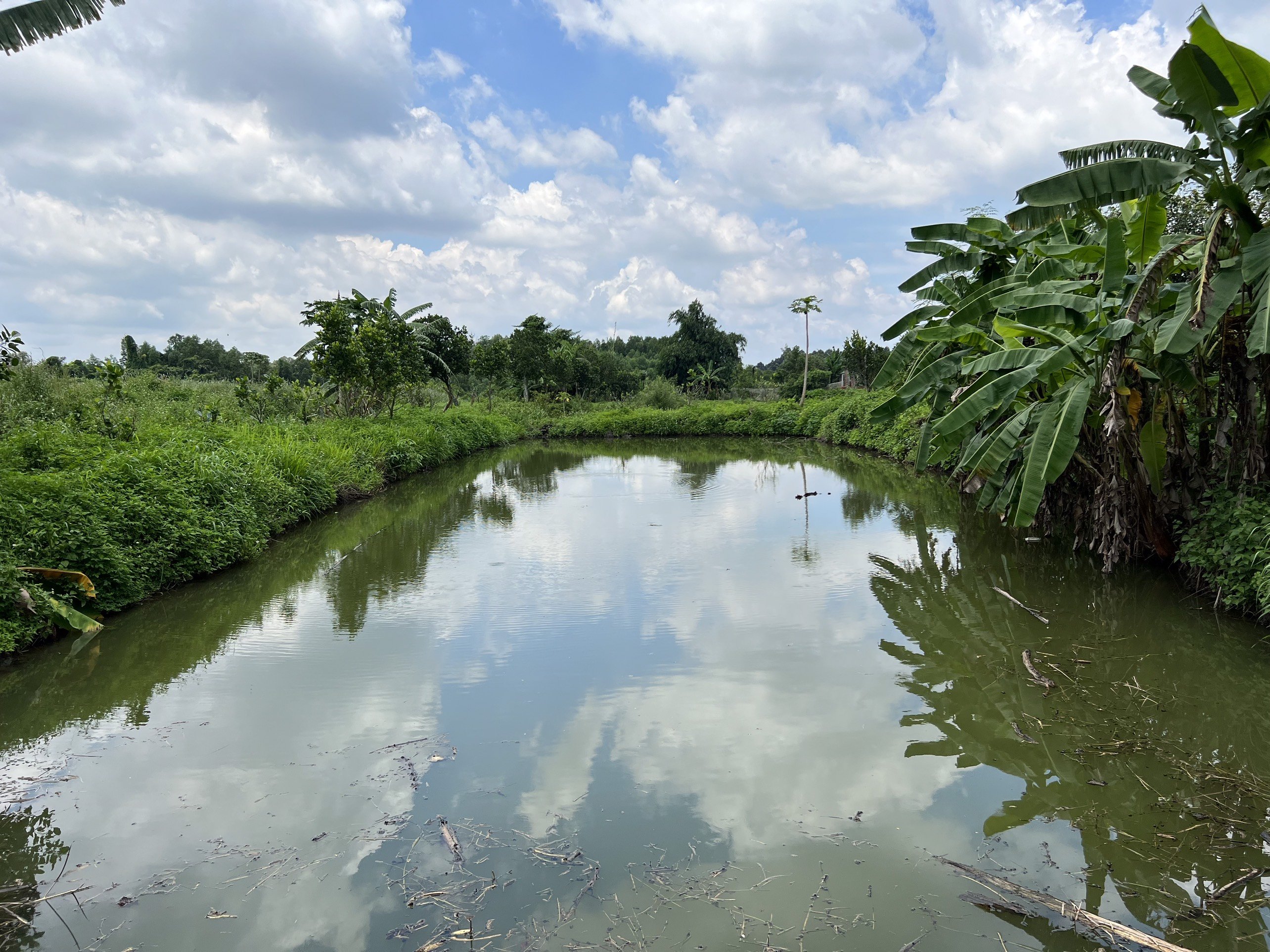 Bán đất dân vườn mít tại xã Bàu Cạn, có sẵn ao cá, đường bê tông, cách sân bay LT 5km