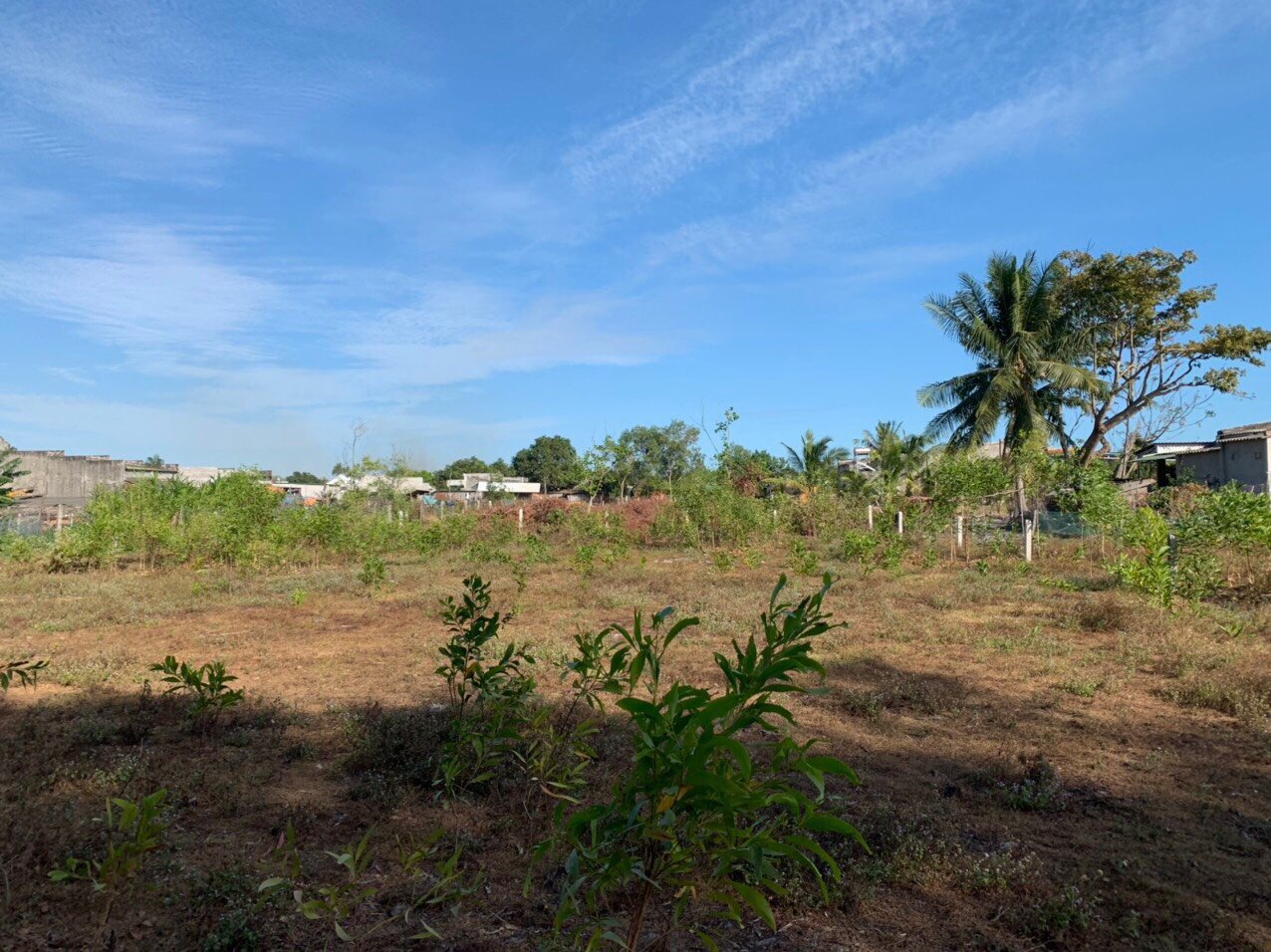 Cần bán Đất đường Lê Minh Công, Xã Tân Phước, Diện tích 816m², Giá 4.Tỷ 6