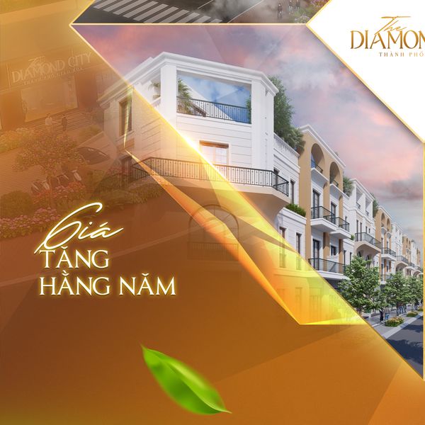 KHAI THÁC CƠ HỘI: CHỈ 320 TRIỆU SỞ HỮU NGAY ĐẤT VÀNG TẠI THE DIAMON CITY, THÀNH PHỐ ĐỨC HÒA 2