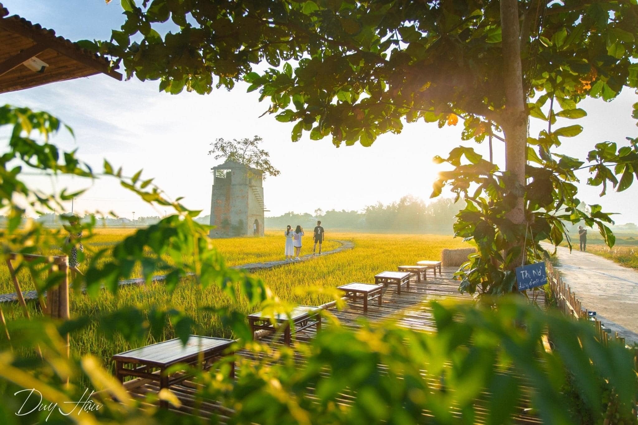 Nghỉ dưỡng lý tưởng trên 1900m2 đất view đồng lúa, có ao hồ mát mẻ giá quá rẻ !