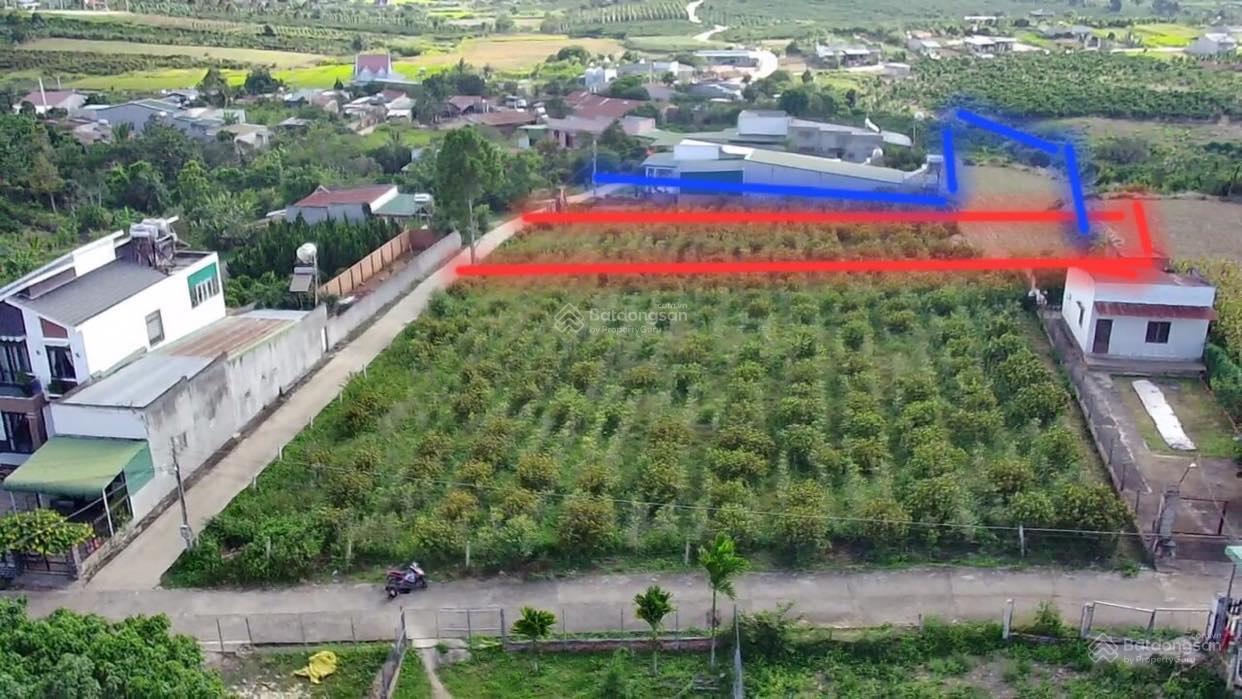 Bán đất MT hẻm 6m sau lưng UBNDX Ninh Gia - Đức Trọng - Lâm Đồng. 1840m2, giá bán 3,8 tỷ 4