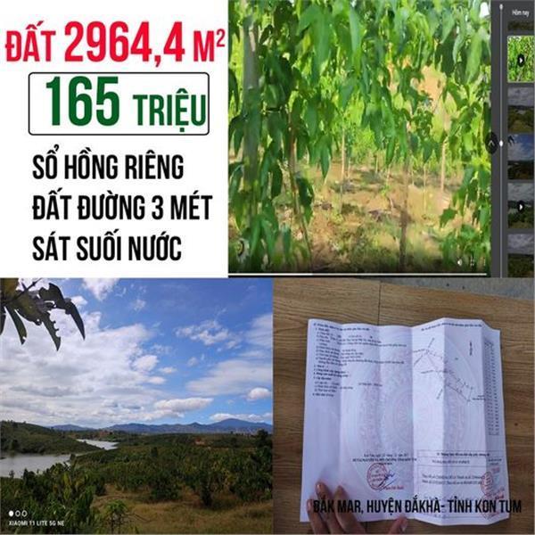 Cắt lỗ sâu lô đất trồng cây lâu năm gần 3000m2 view suối thuộc Đắk Hà, Kon Tum 3