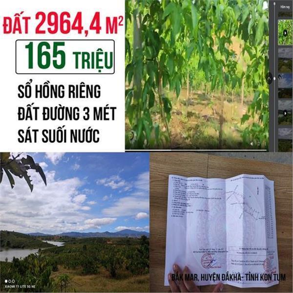 Cắt lỗ sâu lô đất trồng cây lâu năm gần 3000m2 view suối thuộc Đắk Hà, Kon Tum 2
