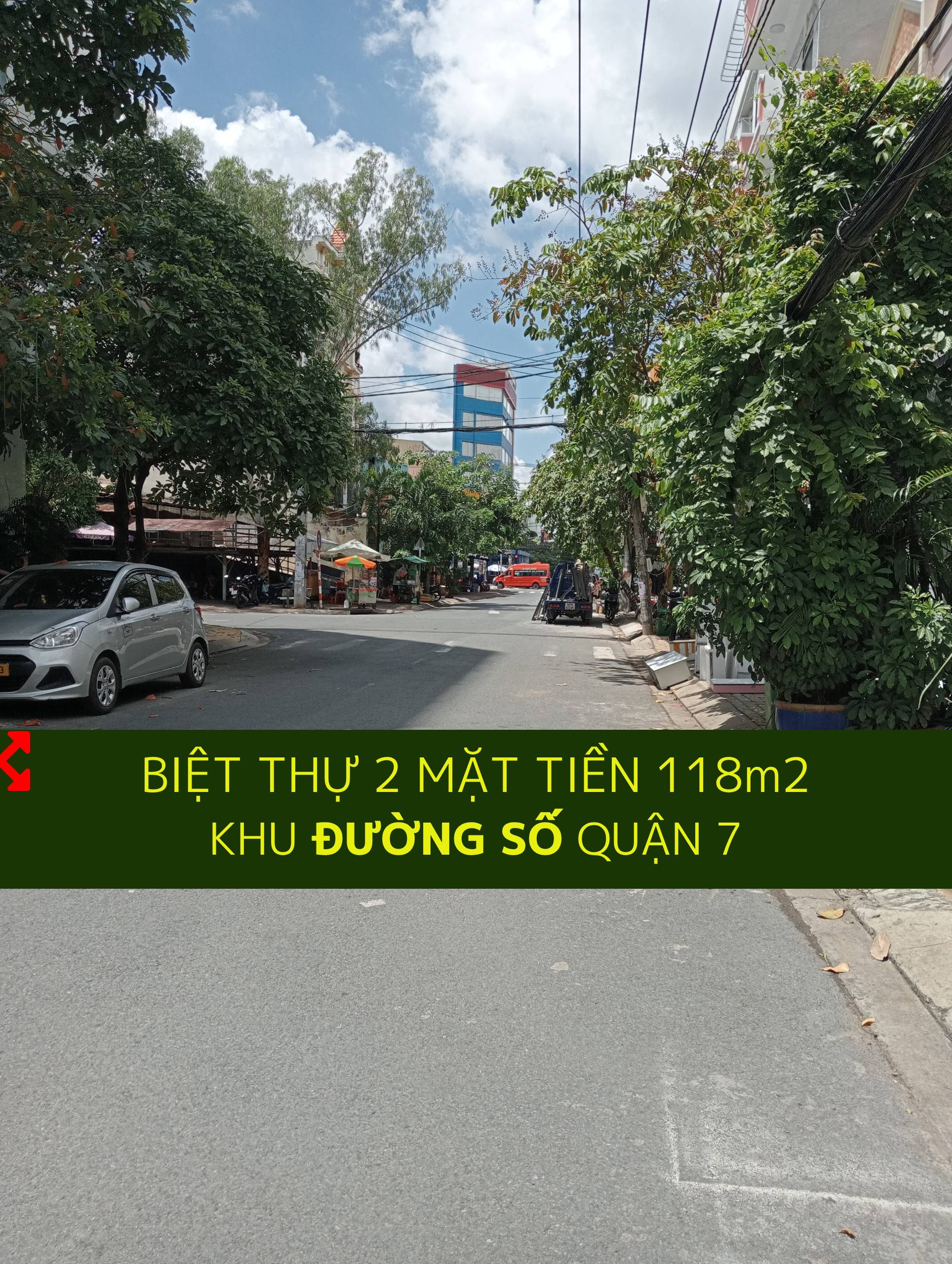 Biệt thự khu Đường số Tân Quy Q7