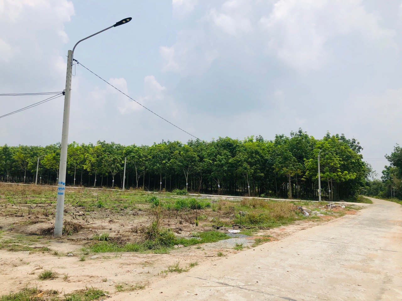Cần bán Đất đường Nguyễn Văn Linh, Phường Dầu Tiếng, Diện tích 1900m², Giá 300 Triệu