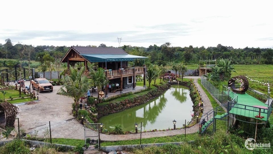 Bán 2123m2 view đồng lúa quá đẹp rất thích hợp mở cafe vườn tại Hòa Phong !