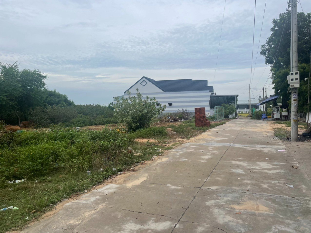 Cần bán Đất đường Quốc lộ 1A, Xã Phước Thể, Diện tích 200m², Giá 1.339 Tỷ 4