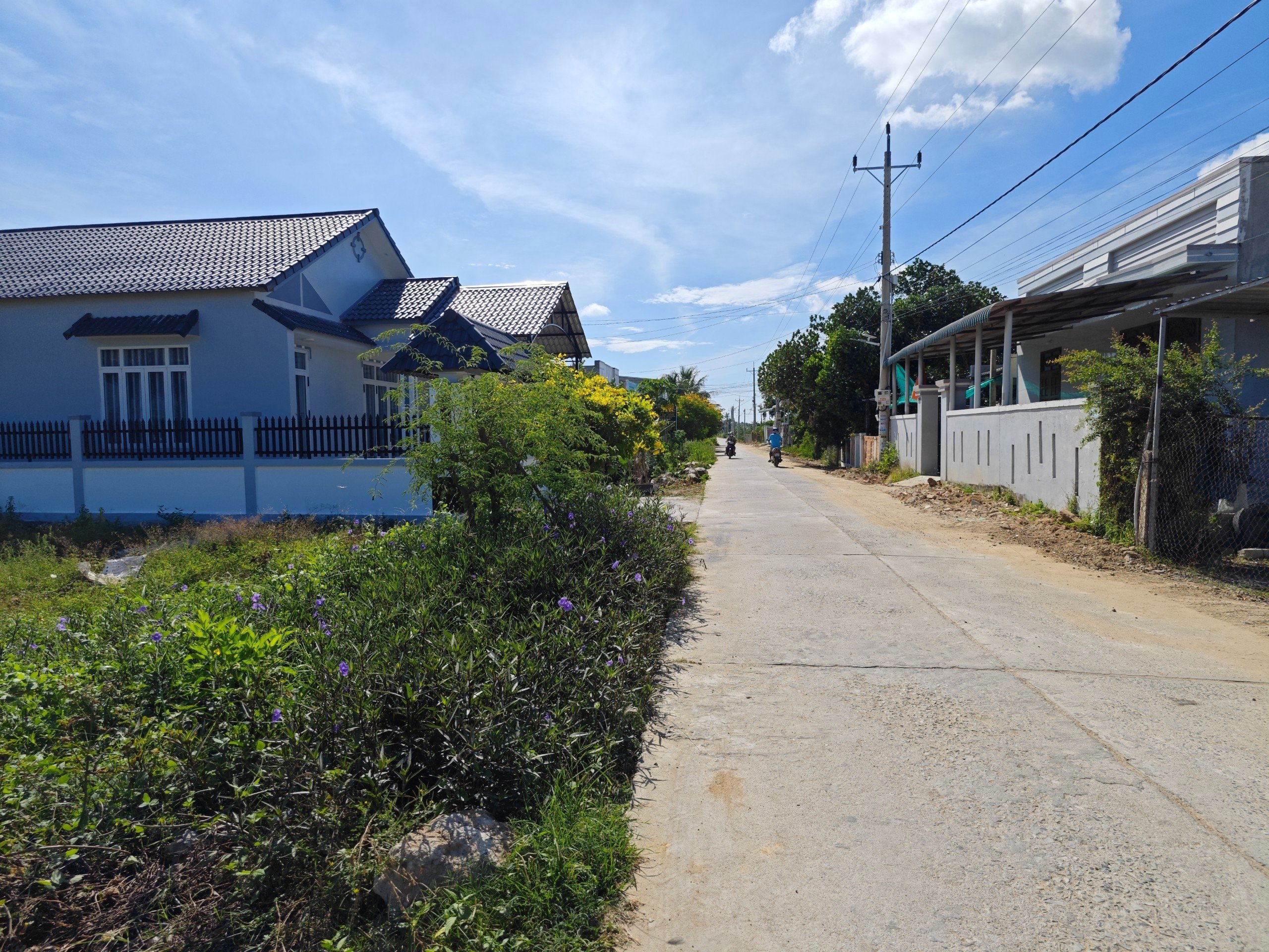 Cần bán Đất đường Quốc lộ 1A, Xã Phước Thể, Bình Thuận 3