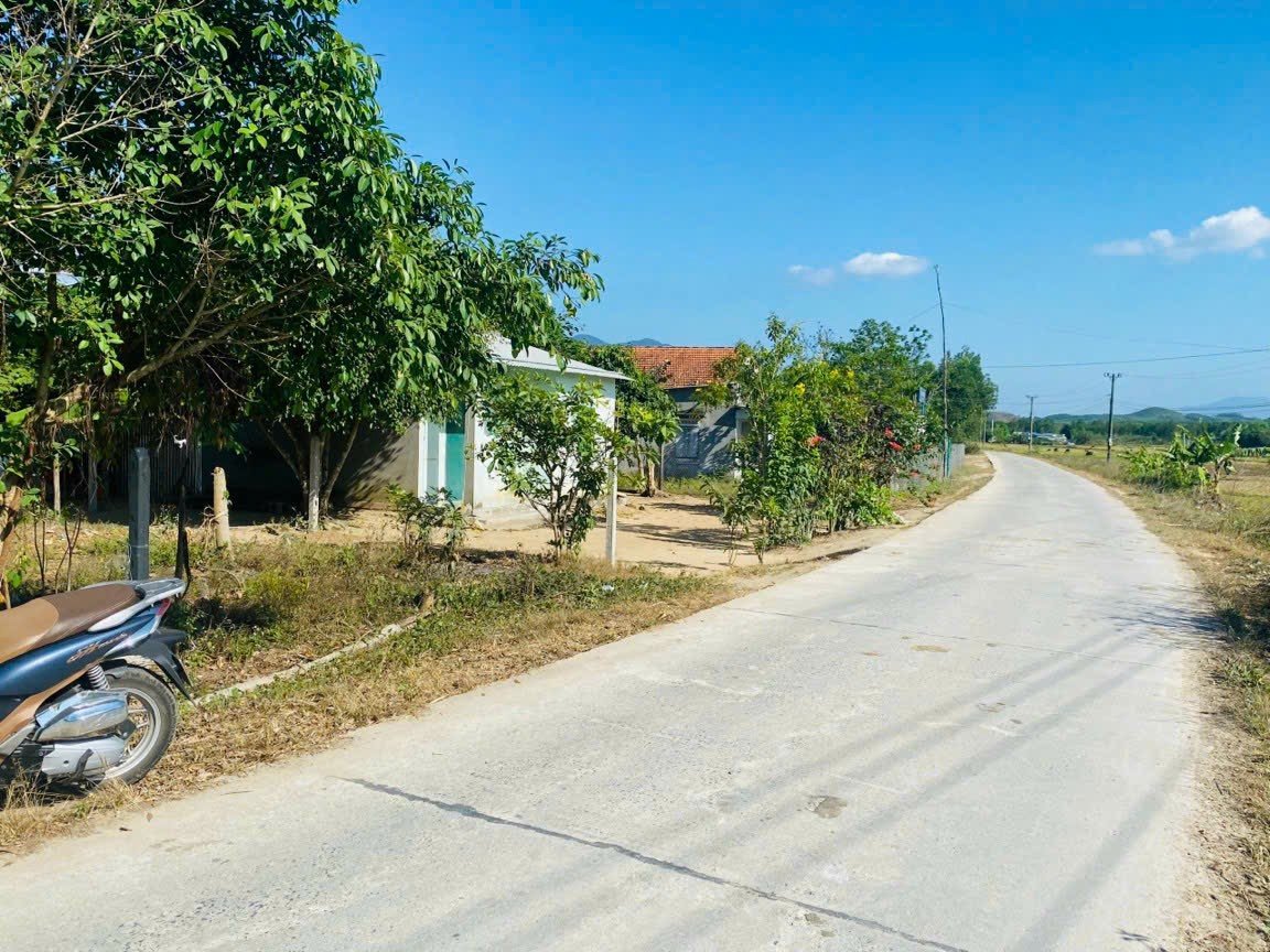 Bán đất Khánh Bình giá rẻ có thổ cư mặt đường bê tông liên thôn
