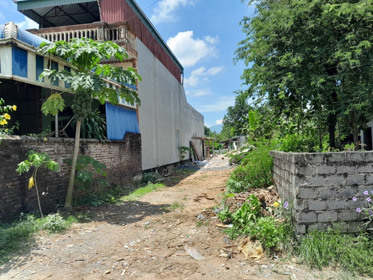 Cần bán Đất Thị trấn Lương Sơn, Lương Sơn, Diện tích 260m², Giá 1,5 Tỷ 2