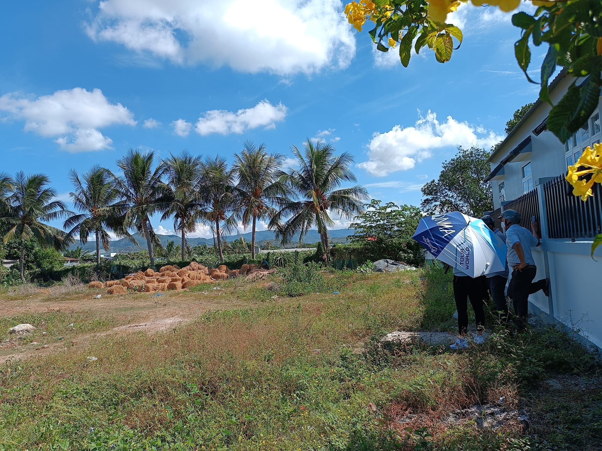 đất ven biển được nhiều nhà đàu tư quan tâm nhất hiện tại 3