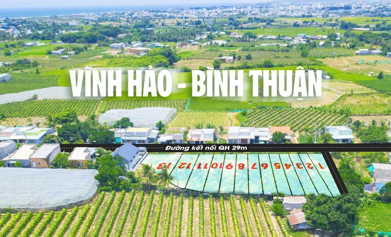 cách để sở hữu lô đất ven biển rẻ nhất Việt Nam tại Bình Thuận giá chỉ 6tr2/m2 4