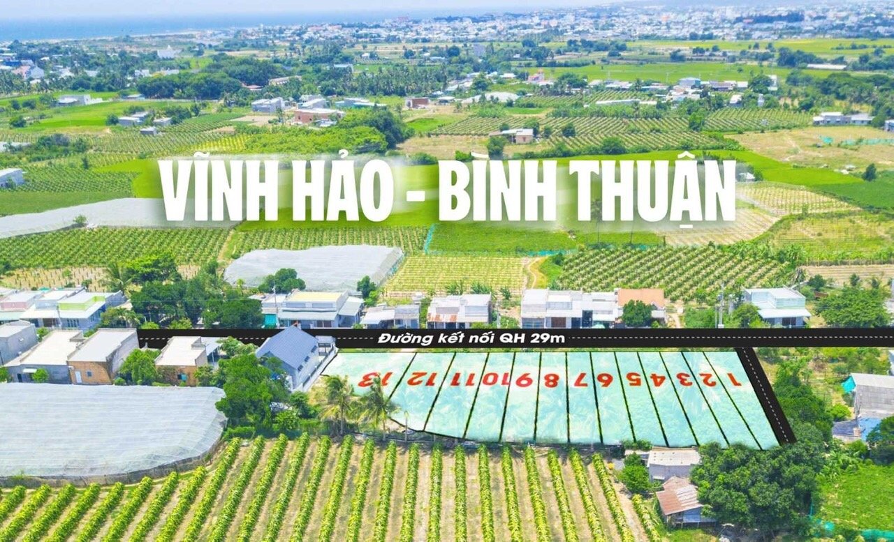 đất ven biển được nhiều nhà đàu tư quan tâm nhất hiện tại 4