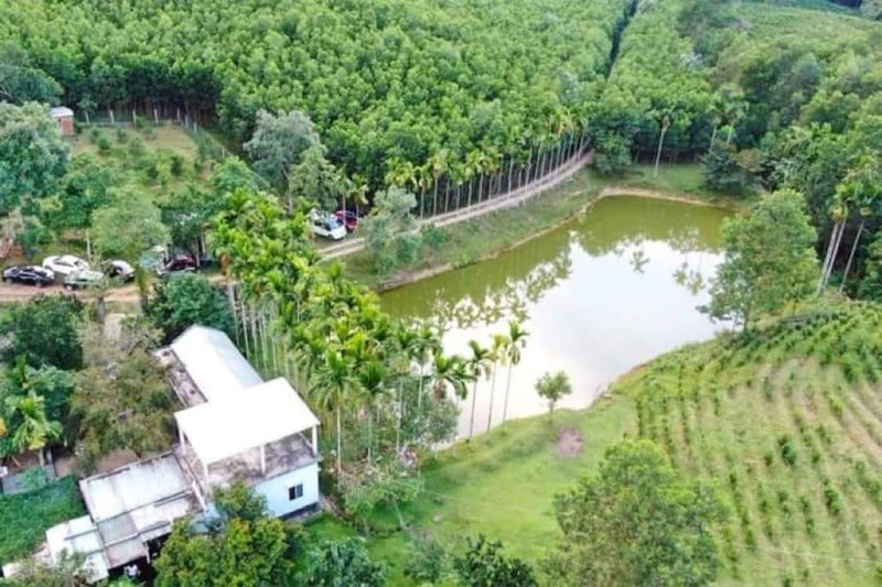 Bán Khu Du Lich Sinh Thái gần Bà Nà Hill, Đà Nẵng, 80Ha, Sông - Núi- Rừng, đang khai thác 1