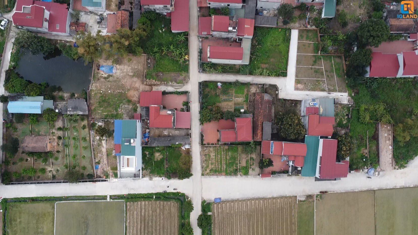 Cần bán đất bìa làng Quang Tiến Sóc Sơn cạnh kcn Nội Bài Giá cực tốt 4