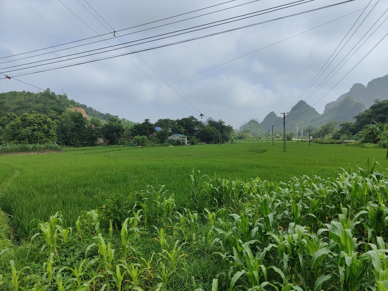 Cần bán Đất Xã Cao Dương, Lương Sơn, Diện tích 474m², Giá 2200 Triệu 2